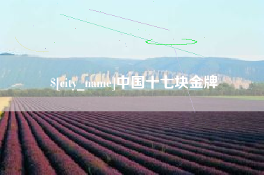 宿州中国十七块金牌