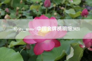 宿州中国金牌榜明细2021