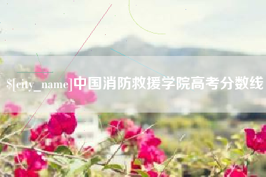 宿州中国消防救援学院高考分数线