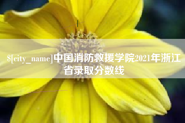 宿州中国消防救援学院2021年浙江省录取分数线
