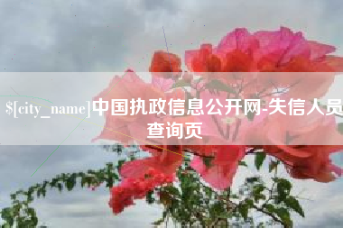 宿州中国执政信息公开网-失信人员查询页