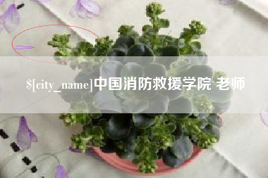 宿州中国消防救援学院 老师