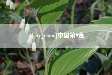 宿州中国第9金