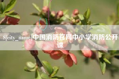 宿州中国消防官网中小学消防公开课