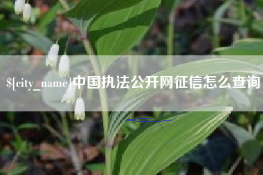 宿州中国执法公开网征信怎么查询