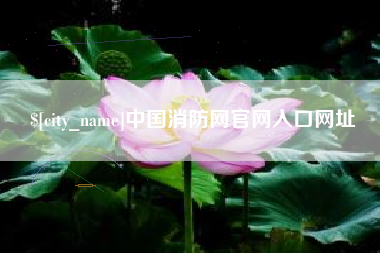 宿州中国消防网官网入口网址