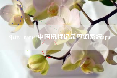 宿州中国执行记录查询系统app