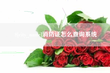宿州消防证怎么查询系统