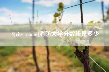 宿州消防大学分数线是多少