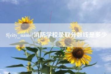 宿州消防学校录取分数线是多少