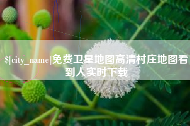 宿州免费卫星地图高清村庄地图看到人实时下载