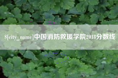 宿州中国消防救援学院2018分数线