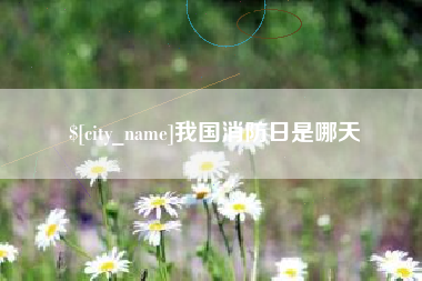 宿州我国消防日是哪天