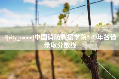 宿州中国消防救援学院2020年各省录取分数线