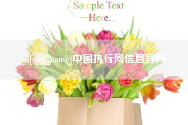 宿州中国执行网信息官网