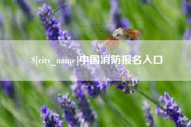 宿州中国消防报名入口