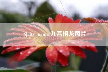 宿州九宫格龙图片