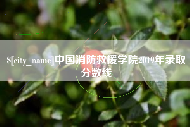 宿州中国消防救援学院2019年录取分数线