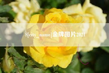 宿州金牌图片2021