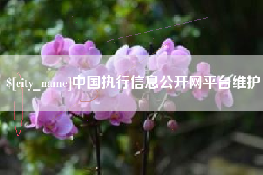 宿州中国执行信息公开网平台维护