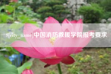 宿州中国消防救援学院报考要求