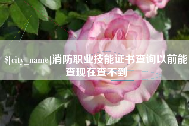 宿州消防职业技能证书查询以前能查现在查不到