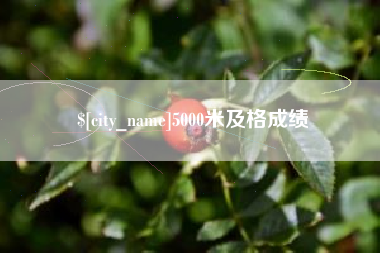 宿州5000米及格成绩