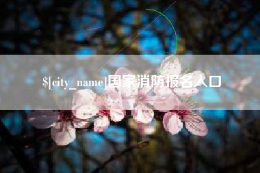 宿州国家消防报名入口