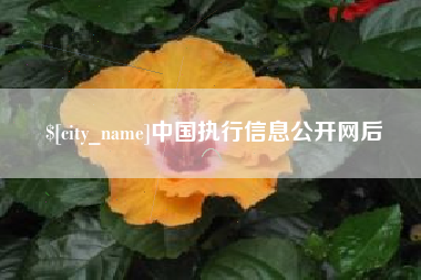 宿州中国执行信息公开网后