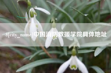 宿州中国消防救援学院具体地址