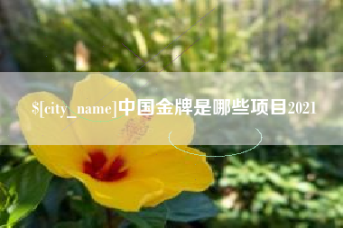 宿州中国金牌是哪些项目2021