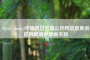 宿州中国执行信息公开网信息查询官网限消中查询不到