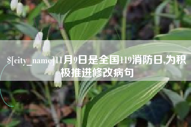 宿州11月9日是全国119消防日,为积极推进修改病句