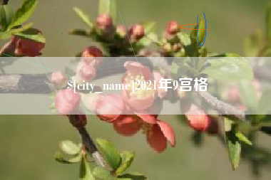 宿州2021年9宫格