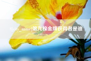 宿州第九枚金牌获得者是谁