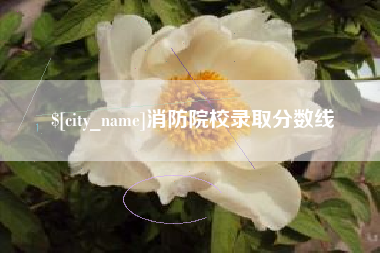 宿州消防院校录取分数线