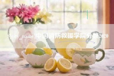 宿州中国消防救援学院分数2020
