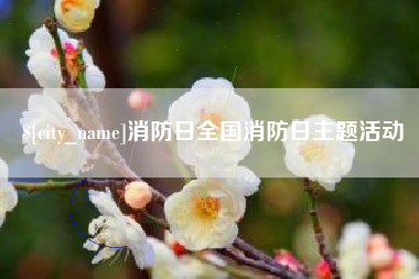 宿州消防日全国消防日主题活动