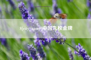宿州中国九枚金牌