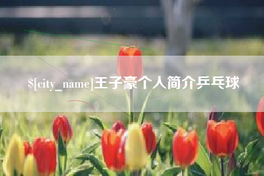 宿州王子豪个人简介乒乓球
