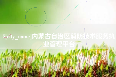 宿州内蒙古自治区消防技术服务执业管理平台