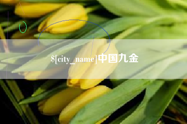 宿州中国九金