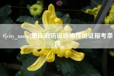 宿州重庆消防设施操作员证报考条件