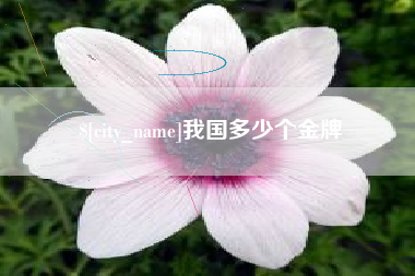 宿州我国多少个金牌