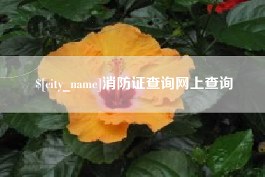 宿州消防证查询网上查询