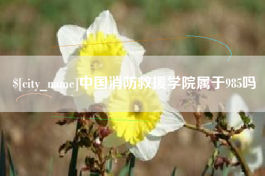 宿州中国消防救援学院属于985吗