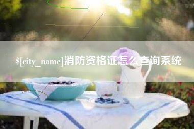 宿州消防资格证怎么查询系统