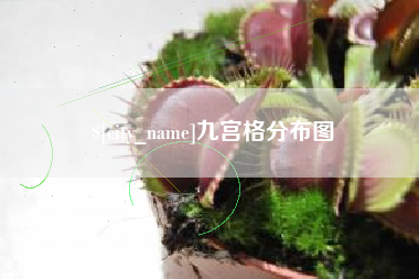 宿州九宫格分布图