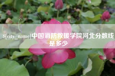 宿州中国消防救援学院河北分数线是多少