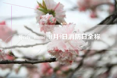 宿州11月9日消防日全称